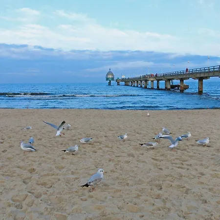 Waldstr 8b Og Neu * Zinnowitz